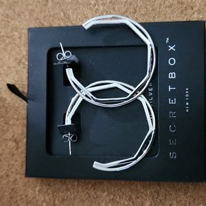 Stealing silver dipped earrings